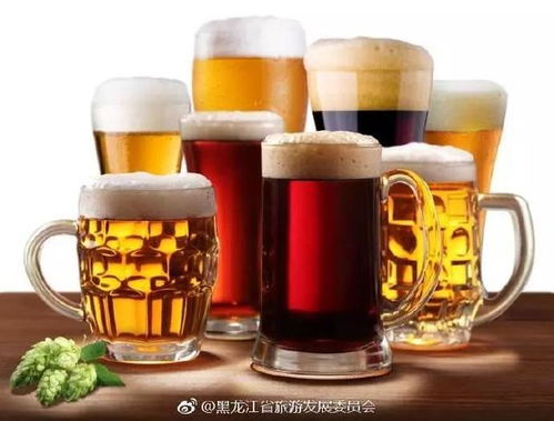 哈尔滨人的豪饮 像灌溉般豪迈的啤酒文化