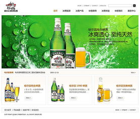 哈尔滨啤酒集团产品形式表达02设计稿 冰爽传承与创新融合